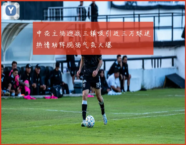申花主场迎战三镇吸引近三万球迷热情助阵现场气氛火爆